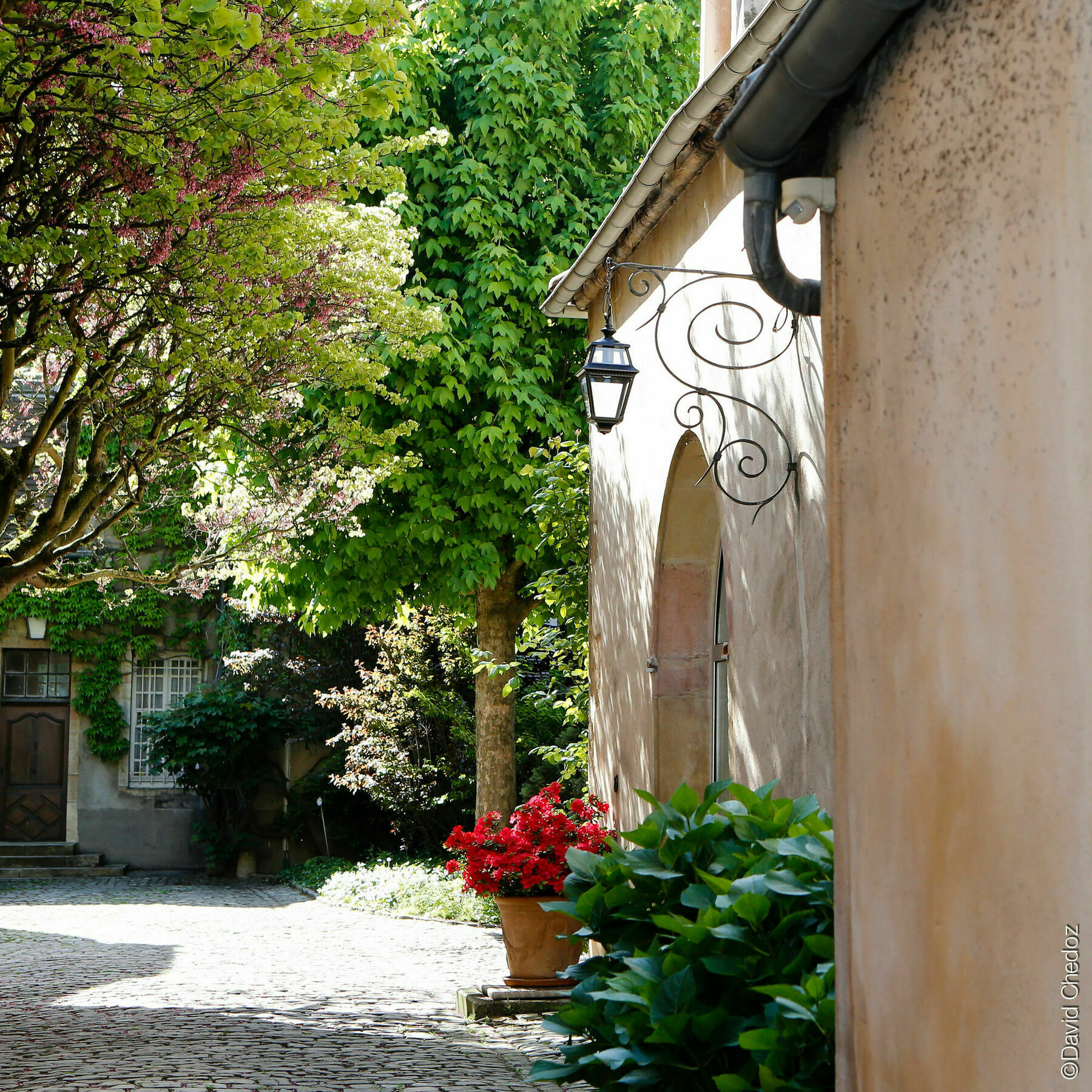 La Cour Berbisey - Teritoria Hotel Dijon Bagian luar foto